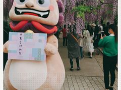 -嘉定紫藤园