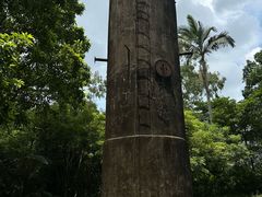 -广西壮族自治区药用植物园