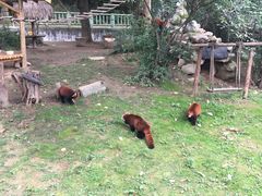 -西安秦岭野生动物园