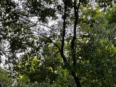 -徐家汇源景区-衡山公园