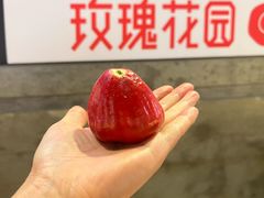 -玫瑰花园自助烤肉(顺义鑫海韵通店)