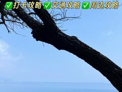 -抚仙湖禄充风景区