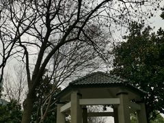 -后襄河公园