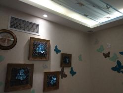 -健身堂科技美肌SPA