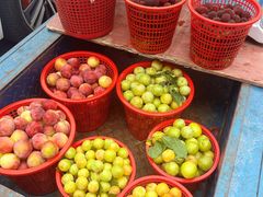 -东山风景区(洞庭东山)