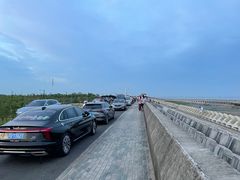 -南汇新城海滩