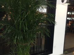 -星巴克(天津火车站店)