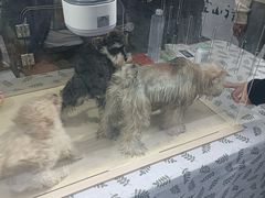 -徐家汇源景区-衡山坊