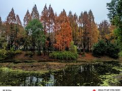 -蠡湖中央公园