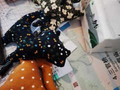 -丝绸小镇荻港古村