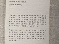 -云南省博物馆