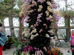 -北京植物园-展览温室