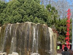 -合肥滨湖国家森林公园