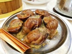 法式蜗牛-金时代顺风大酒店(协泰店)