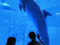 -海合安成都极地海洋公园