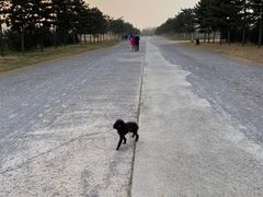 -汉长安城未央宫国家考古遗址公园