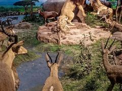 -国家自然博物馆