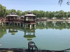 -尚庄度假村·庭台树下·户外烧烤·团建CS·轰趴营地(上庄水库店)