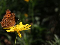 -苏州河梦清园环保主题公园