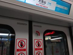 -大龙山(地铁站)