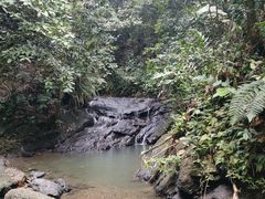 -乌鲁淡布隆国家公园
