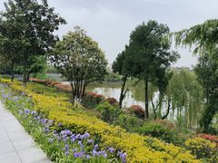 -沣峪口