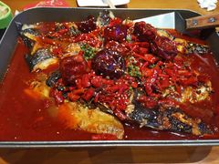 -青炉里青花椒鲜活烤鱼(理工大店)