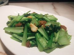 油渣上海青-韵秋荷(宝山龙湖天街店)