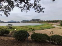 -风云岭森林公园