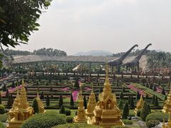 -东芭乐园