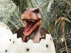 -呀路古热带植物园