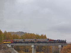 -莫尔道嘎国家森林公园