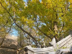 -青檀寺景区