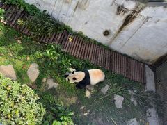 -黔灵山公园