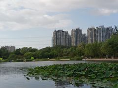 -太阳宫公园