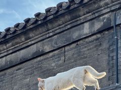 -张学良旧居陈列馆