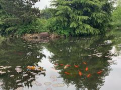 -白马涧龙池景区