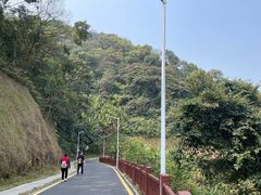 -黄埔油麻山森林公园
