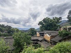 -杨家堂村