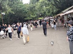 -普陀山风景名胜区-法雨禅寺