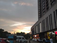 -龙小海荆沙鸽子店(瑞安街店)
