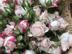 -循礼门鲜花花市(武汉循礼门店)