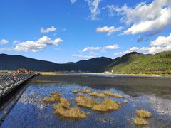 -腾冲北海湿地