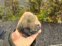 -夏威夷火山国家公园