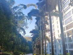 -孔雀湖生态旅游区