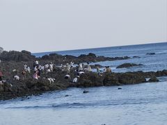 -银沙滩浴场