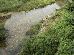 -湖洞水自然风景区