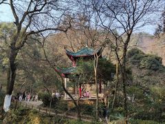 -岳麓山风景名胜区