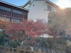 -苏州吴宫泛太平洋酒店