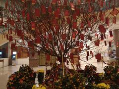 -澳门皇庭海景酒店